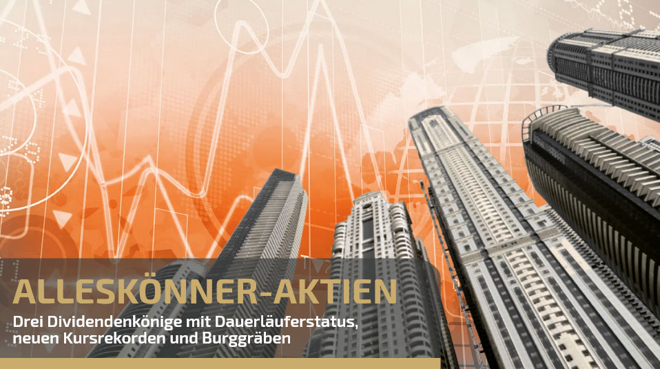 Grafik: Alleskönner Aktien